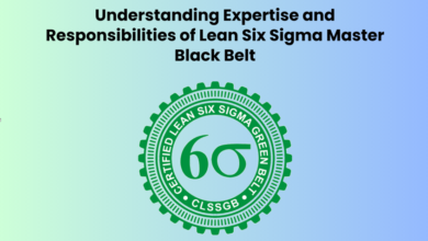 Lean Six Sigma Master Black Belt
