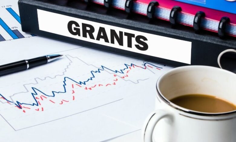 Government grants